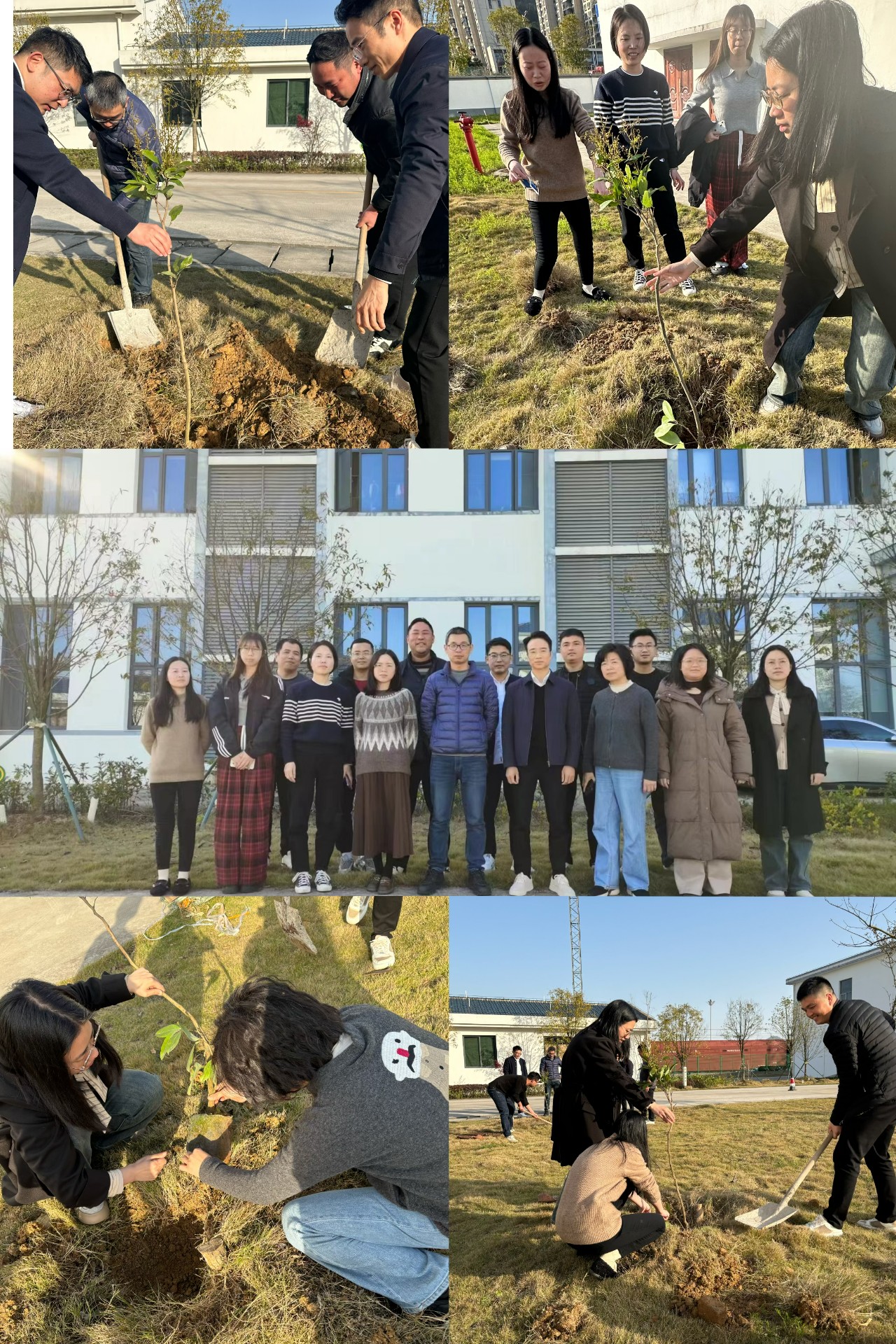 2024-3-12绿色陆港，，，，，，，美丽宁德，，，，，，，阮克妙拍摄.jpg